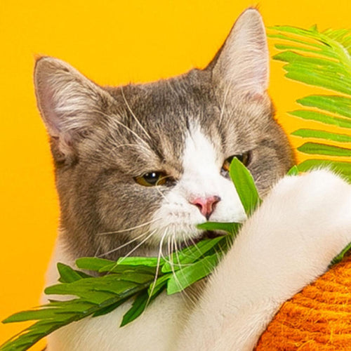 Calo's Carrot, Cat Toy, Hemp Rope, Cat Scratcher-Weilai concept-Weilai Concept