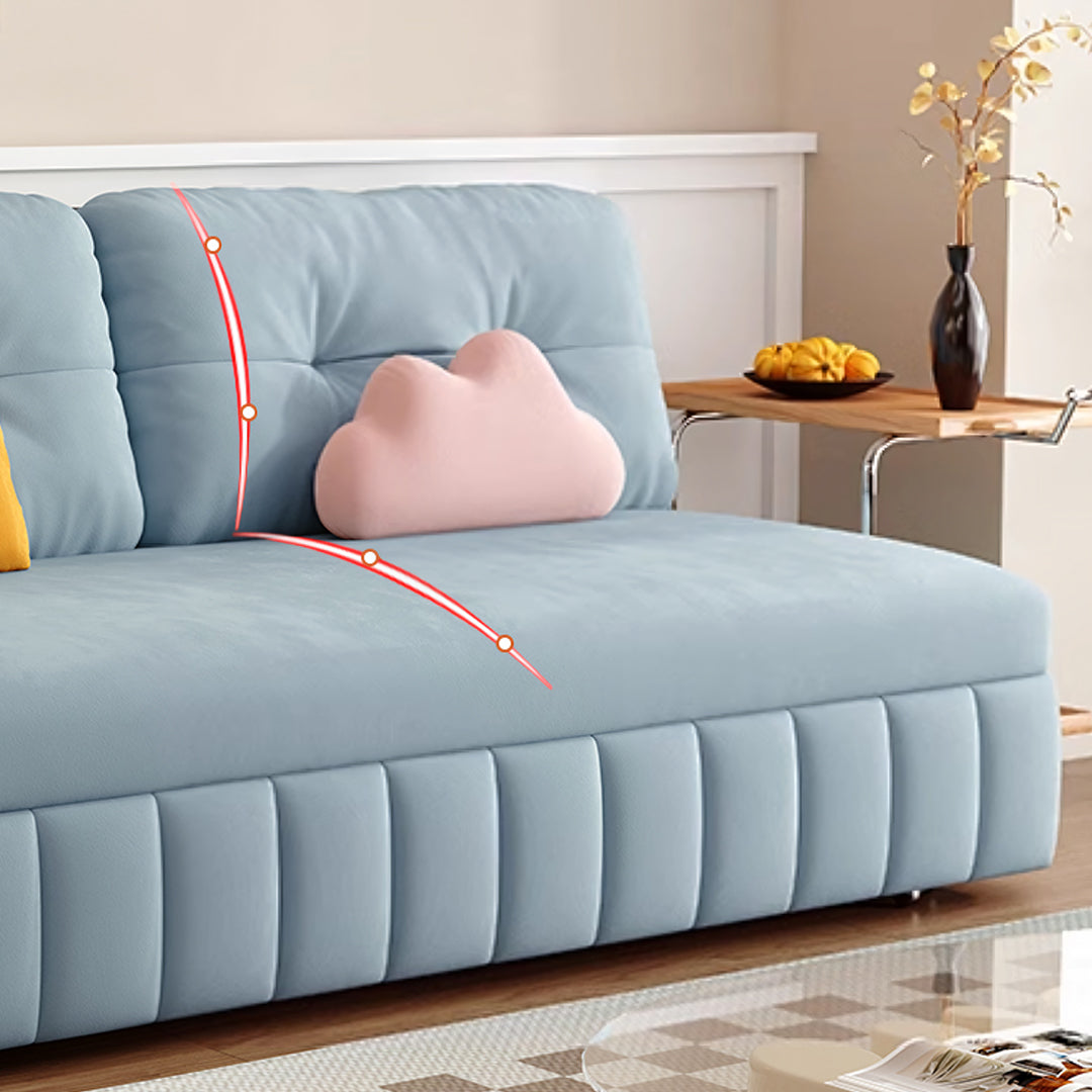 Detail view of Mehta Single Seater Sofa Bed, Two Seater Sofa Bed, Blue with cat sofa bed