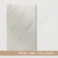 Olimpo white _ Gloss Finish (Sintered Stone)-Weilai Concept-Weilai Concept