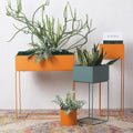 MI Indoor Plant Stand Set-Weilai Concept-Orange*2 + Blue*1-Weilai Concept