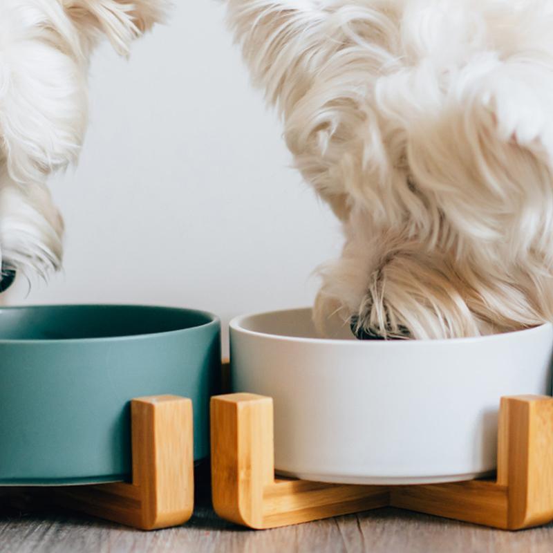 XI15 Pet Food Bowl-Weilai Concept-Weilai Concept